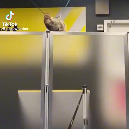 LaGarbage Trash Panda